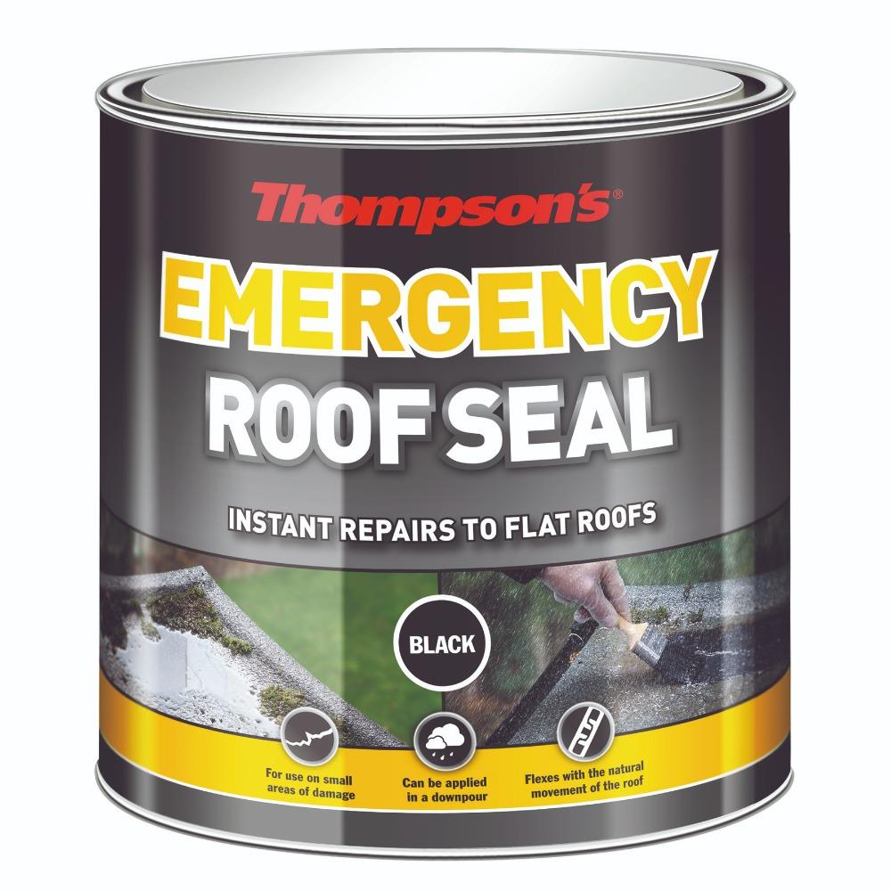 Thompsons 2.5 Litre Emergency Roof Seal 34887 Heavins.ie