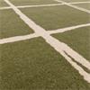 Albany 200x290cm Grid Olive
