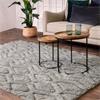 Harrison 200x290cm Silver Rug