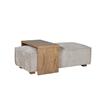 Beckham Ottoman and Coffee Table Set Mink