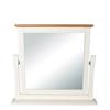 Coleman Dressing Mirror
