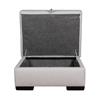 Astro Unit Footstool with open lid Level 1