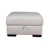 Astro Unit Footstool with open lid Level 1