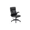 Harold Executive Office Chair Black