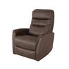 Doolin Swivel Recliner