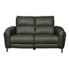 Lawson 2 Seater Powered Recliner
