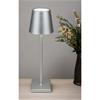 LED Rechargeable Painted Silver Table Lamp 33cmh