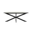 Saggart Dining Table Oval 1600mm Smoke