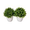POTTED BONSAI ROUND S/2 ASSORTED