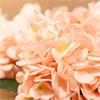 SILK HYDRANGEA WITH VASE ASSORTED