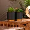 POTTED SUCCULENT PLANT TEAL POT ASSORTED 20CM