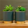 POTTED SUCCULENT PLANT TEAL POT ASSORTED 20CM