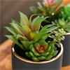 POTTED SUCCULENT PLANT TEAL POT ASSORTED 20CM