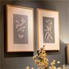 FRAMED PRINT BOTANICAL 2 ASSORTED 50 X 40CM