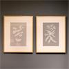 FRAMED PRINT BOTANICAL 2 ASSORTED 50 X 40CM