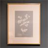 FRAMED PRINT BOTANICAL 2 ASSORTED 50 X 40CM