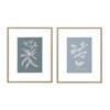 FRAMED PRINT BOTANICAL 2 ASSORTED 50 X 40CM