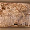 FRAMED PRINT AVENUE OF TREES 120 X 90CM