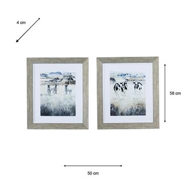 FRAMED PRINT CURIOUS CHATTER 58 X 50 CM 2 ASST