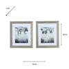 FRAMED PRINT CURIOUS CHATTER 58 X 50 CM 2 ASST