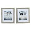 FRAMED PRINT CURIOUS CHATTER 58 X 50 CM 2 ASST