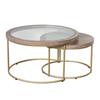 HANNAH S/2 COFFEE TABLES