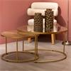 ANDREA S/2 COFFEE TABLES