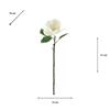 MAGNOLIA STEM WHITE 76CM