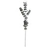 EUCALYPTUS GREEN 92CM