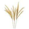 ARTIFICIAL PAMPAS GRASS 80CM BUNDLE 3 NATURAL