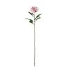 REALTOUCH PEONY STEM CREAM/PINK 80CM