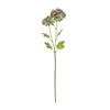 REALTOUCH HYDRANGEA GREEN/PLUM 6CM