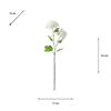 REALTOUCH HYDRANGEA IVORY 63CM