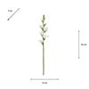 REALTOUCH GLADIOLOUS STEM WHITE 83CM