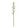 REALTOUCH GLADIOLOUS STEM WHITE 83CM