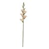 REALTOUCH GLADIOLOUS STEM PEACH 86CM