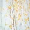 FRAMED PRINT AMBER LEAVES 80X80CM