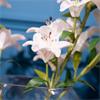 REAL TOUCH LILLIES CROSSED STEM VASE WITH FAUX WATER 50CM