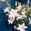 REAL TOUCH LILLIES VASE WITH FAUX WATER 70CM