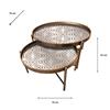 ALYA S/2 COFFEE TABLES