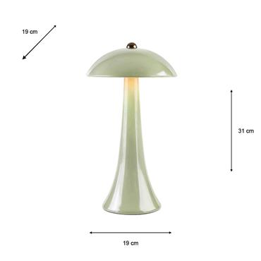 COMET USB RECHARGEABLE LAMP GLOSS OLIVE