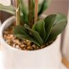 POTTED ORCHID WHITE 55CM