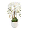 POTTED ORCHID WHITE 82CM