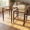 SAIGE S/2 NESTING TABLES