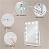 HOLLYWOOD RECT VANITY MIRROR WHITE 42CM