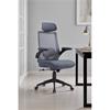 Zuri Ergonomic Office Chair Grey