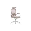 Zuri Ergonomic Office Chair