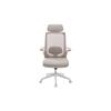Zuri Ergonomic Office Chair