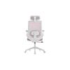 Zuri Ergonomic Office Chair