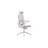 Zuri Ergonomic Office Chair